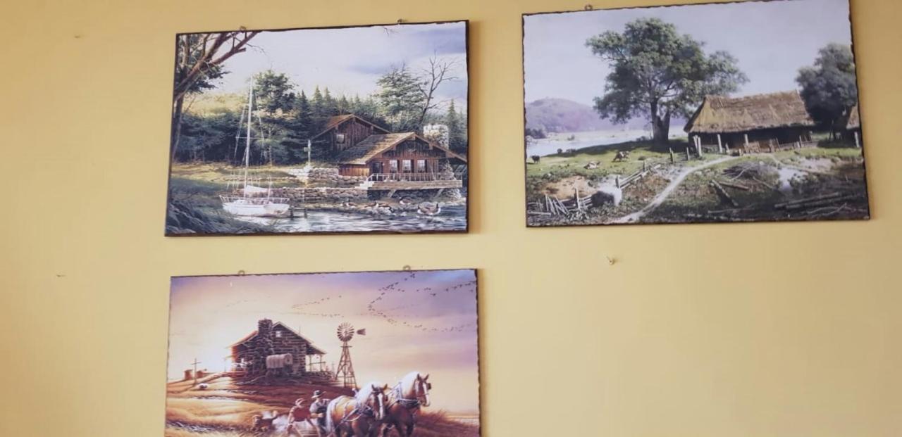 Leyla Hostel 브라쇼브 외부 사진